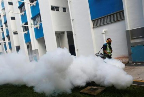 新加坡寨卡确认283起 清理150个蚊虫滋生积水处